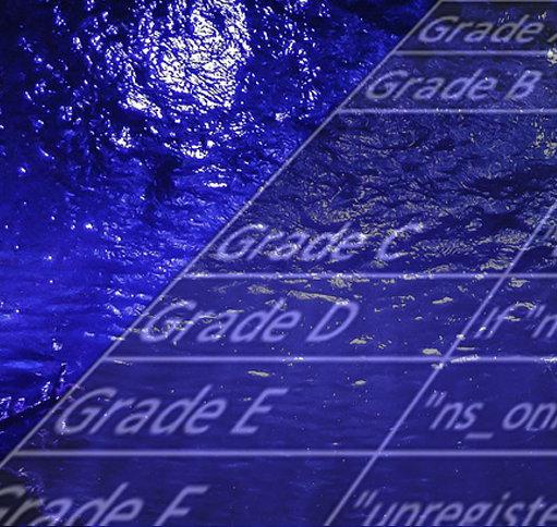 Domain Grades